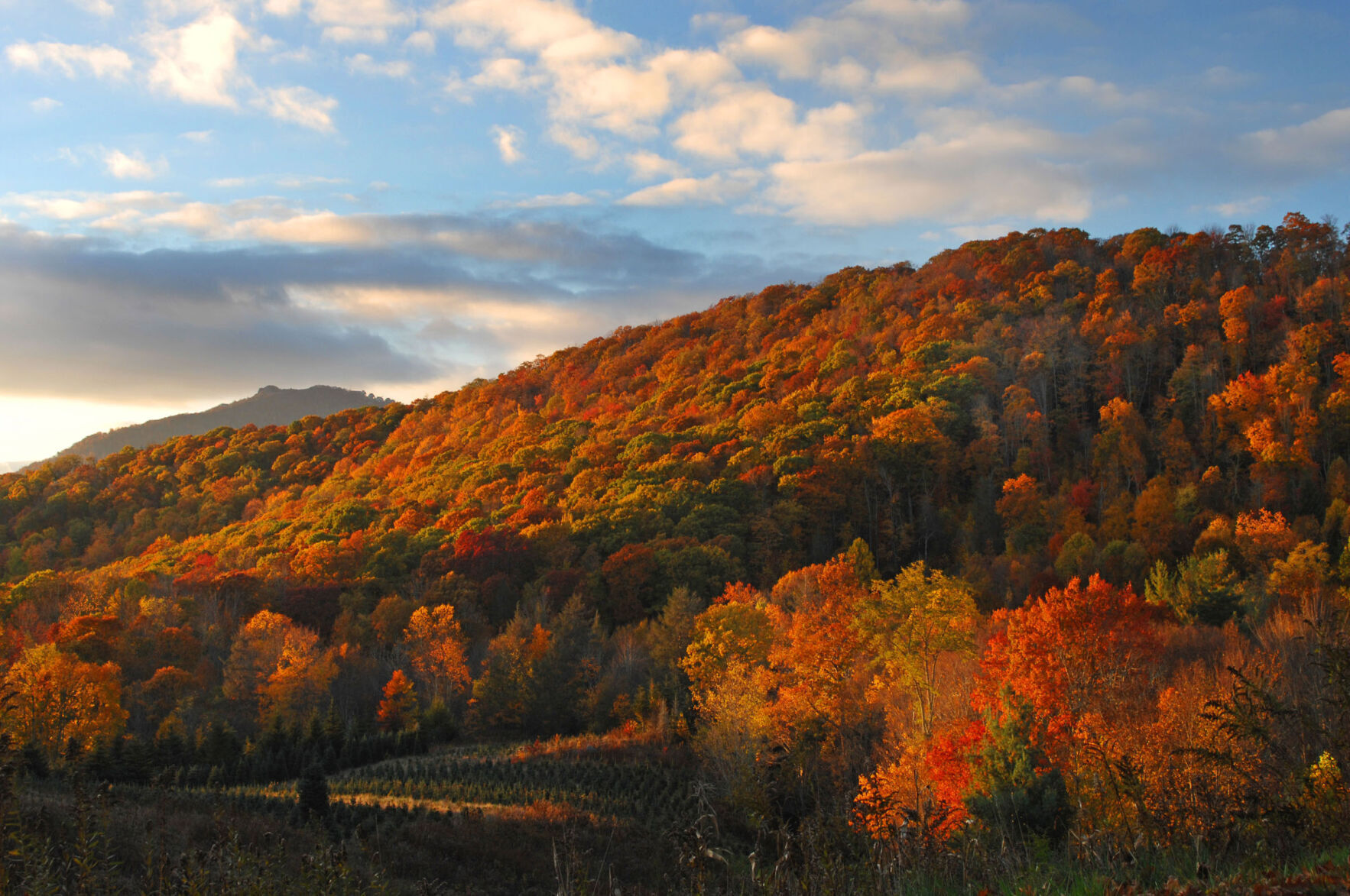 20151029w_rel_roadtrip
